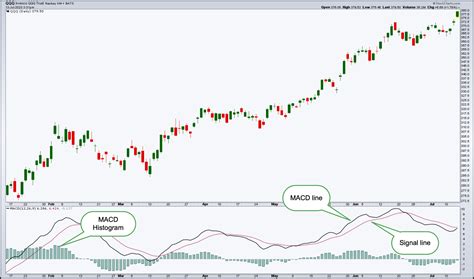 Fundamental Analysis, Aptos (APT), Moving Average Convergence Divergence
