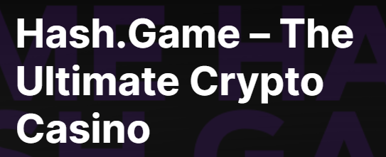 Exploring the Future of Betting The Hash.Game Betting Platform