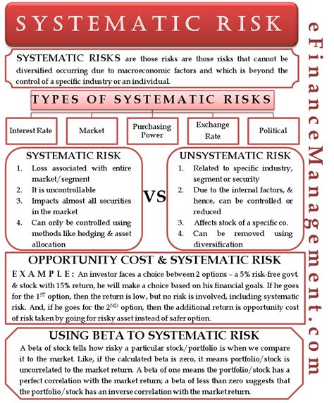 Systemic Risk: Understanding Its