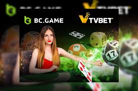 The Ultimate Guide to BC Game Your Gateway to Crypto Gaming