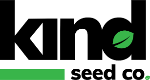 Cannabis Seeds California Your Ultimate Guide to Growing in the Golden State