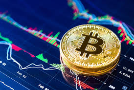 Exploring the Future of Trading Crypto Bots