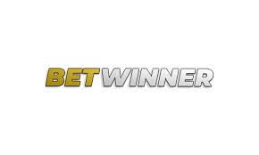 The Thrill of Sports Betting Understanding the Game