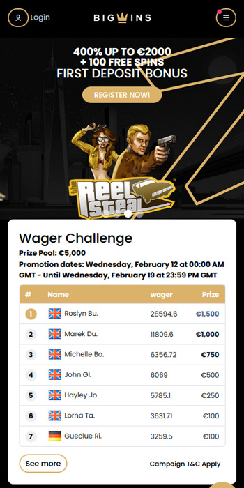Online Casino Bonuses - VIP Programme for High Rollers