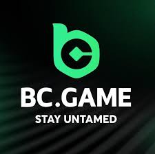 Exploring the BC.Game Platform in Brazil A New Era of Online Gaming