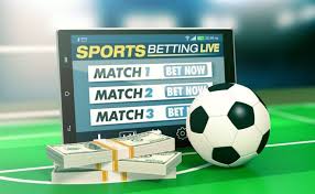 Betwinner Your Premier Sports Betting Experience
