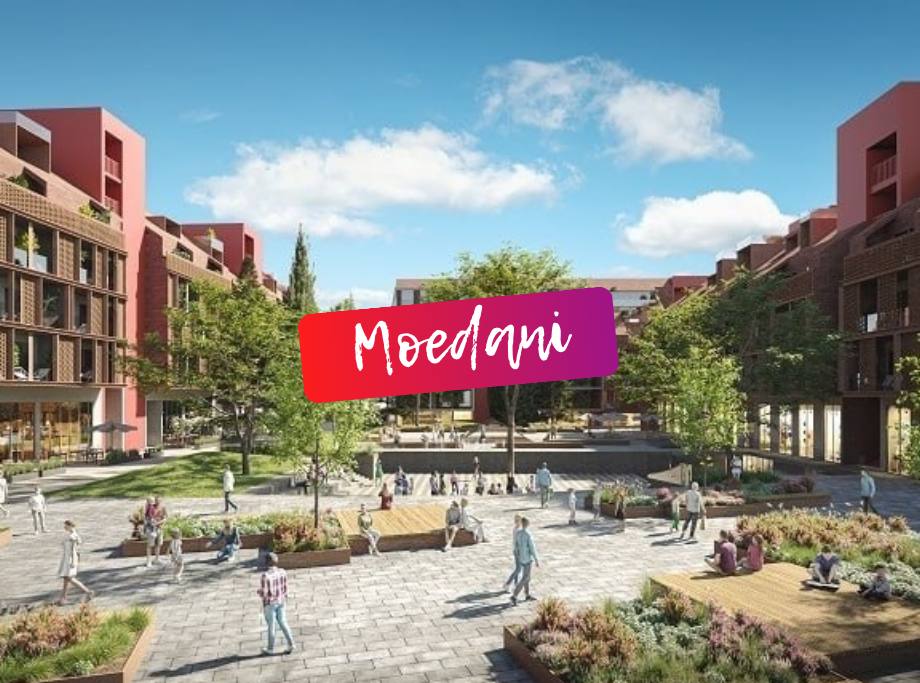 Что делает Moedani Online эффективной площадкой для объявлений в Грузии Что делает Moedani Online эффективной площадкой для объявлений в Грузии