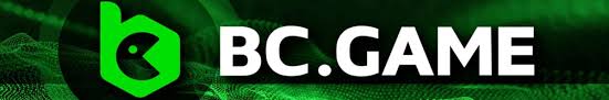 Exploring BC.Game A Revolutionary Crypto Casino Experience in Pakistan