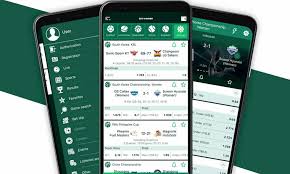 Explore BetWinner Promo Codes and Bonuses for Maximum Rewards